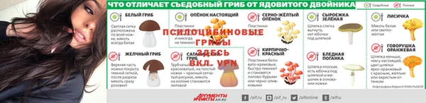 a pvp Алексин