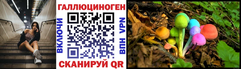 kraken рабочий сайт  Белоярский  Псилоцибиновые грибы мицелий 